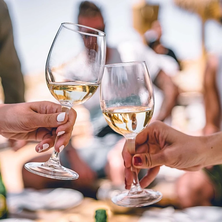 Le plaisir du vin rosé au bord de la piscine